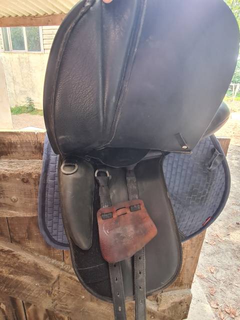 Selle thorowgood dressage haut garrot 17,5"