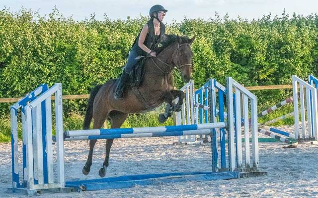 Jument pur sang 13 ans