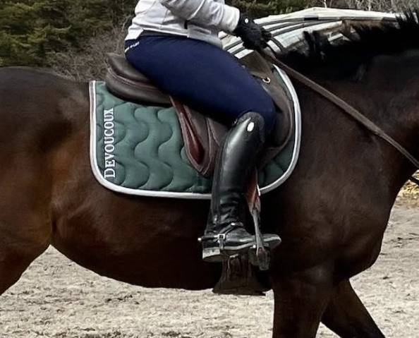 Selle Devoucoux Chiberta Lab