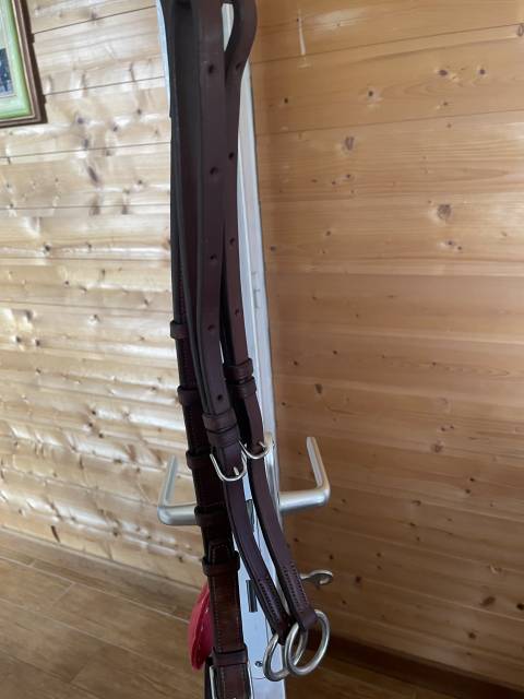 Collier de chasse CWD