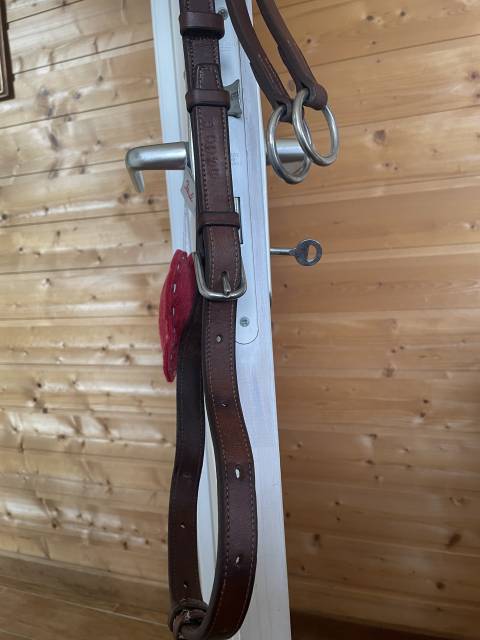 Collier de chasse CWD