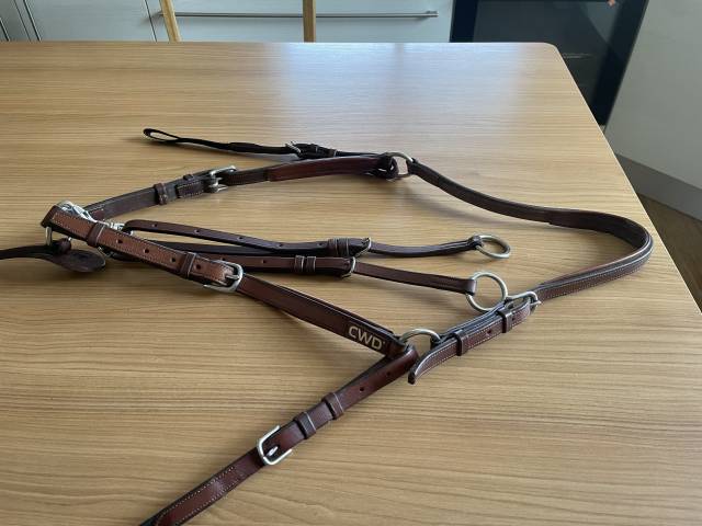 Collier de chasse CWD