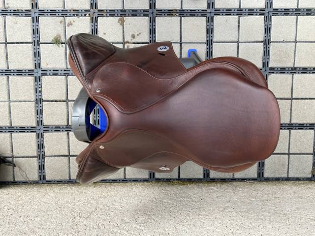Selle Meyer 17,5 2018
