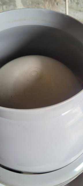 appareil à vapeur pour chevaux