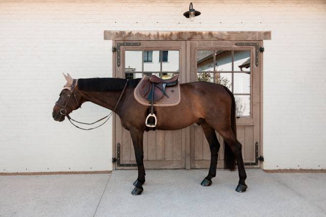 Tapis de selle Velvet - Kentucky - Tissu velours