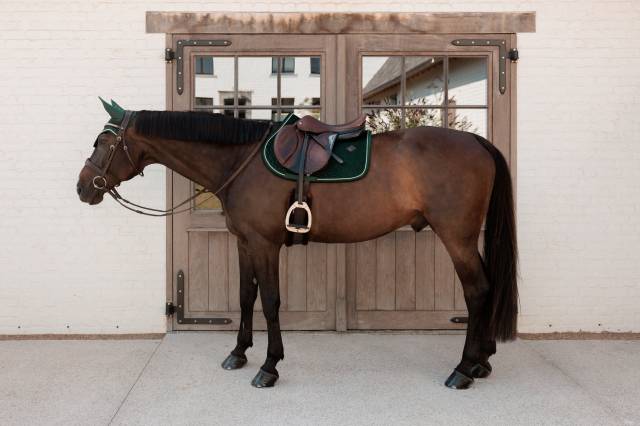 Tapis de selle Velvet Vert sapin - Kentucky - Tissu velours élégant