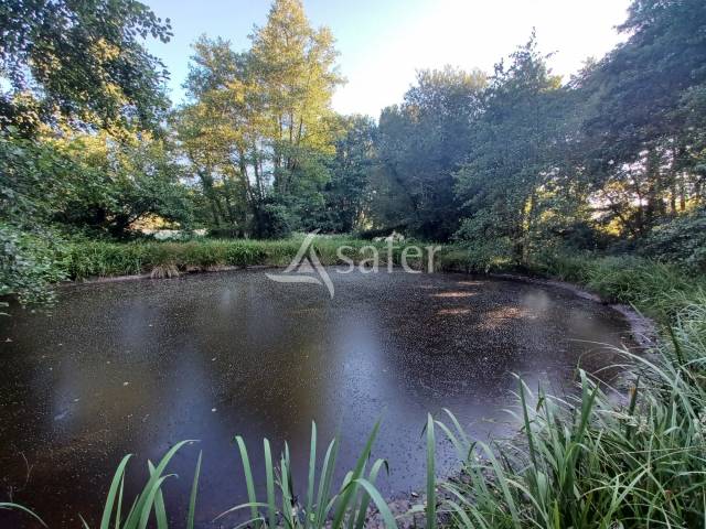 Parcelles de prairies boisees a proximite d'un ruisseau et compr