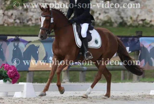 Pfs 5 ans