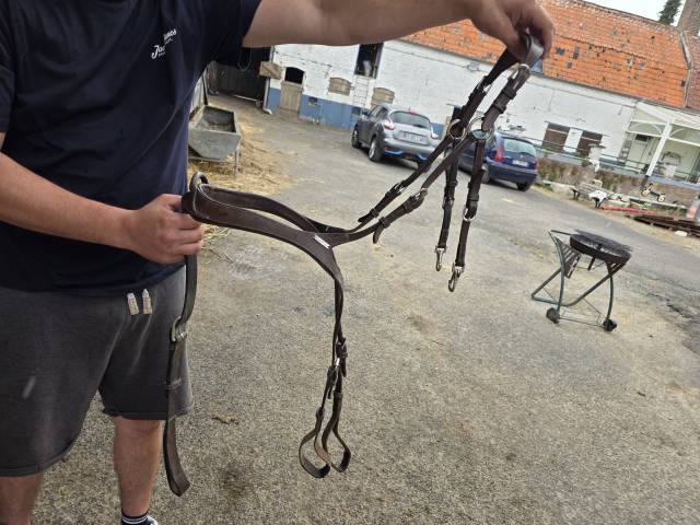 Collier de chasse Jumpin