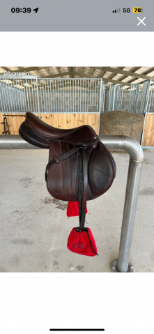 Selle forestier Séoul 