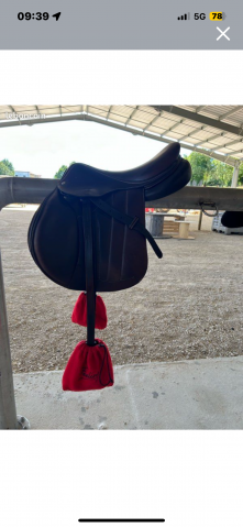 Selle forestier Séoul 