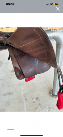 Selle forestier Séoul 