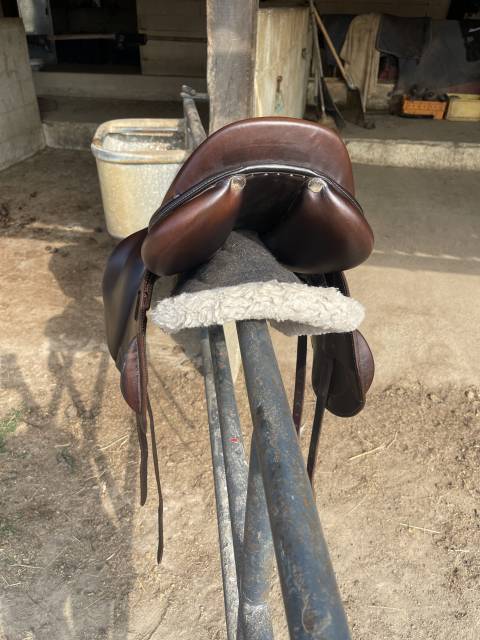 Selle Antares monoquartier 18p 