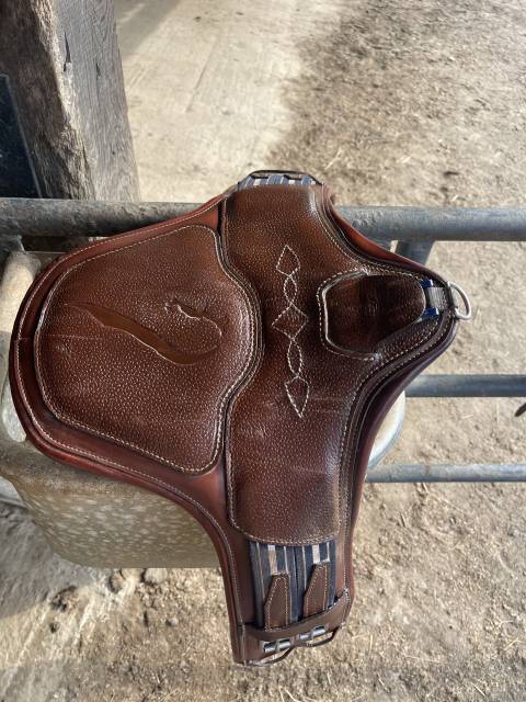 Selle Antares monoquartier 18p 