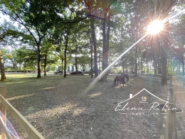 Propriété équestre d’exception entourée par la forêt