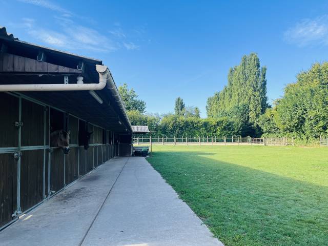 Propriété équestre voulangis 77580