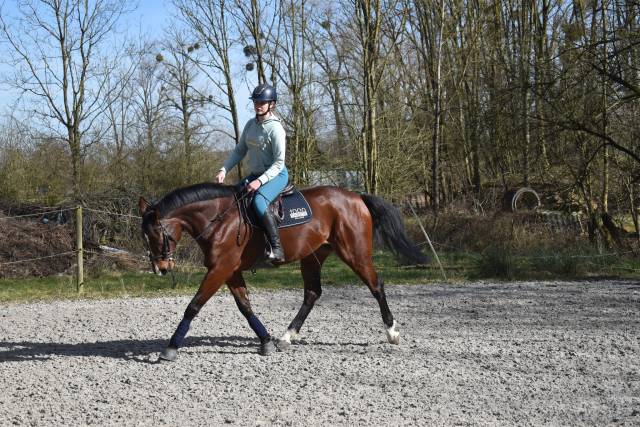 Top jument cso children / amateur elite