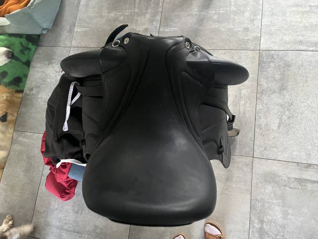 Selle de dressage CWD neuve 