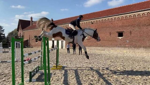 Guest star du valya : paillettes de guest star du valya sf