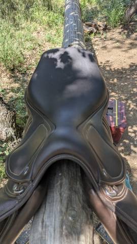 Selle ikonic evolution 