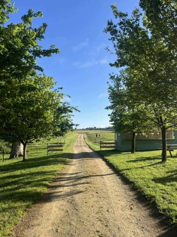 Domaine de 33 hectares avec maison , gîte, écuries