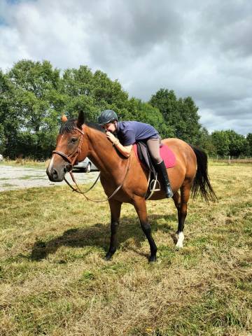 Recherche d'apprentissage sur 2 ans bac pro cgea 