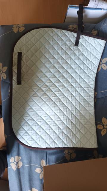 Tapis Fouganza Bleu