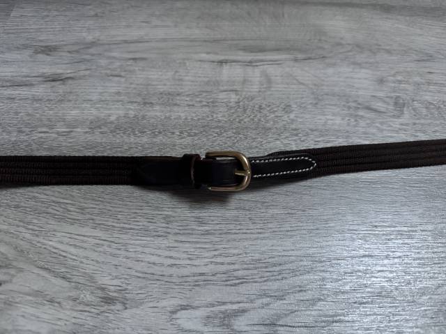 rêne d’équitation 