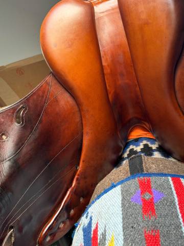 Selle de dressage Delgrange Olympia 2013 17,5P Q4 