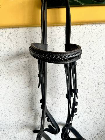 filet cuit noir cheval 