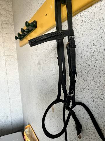 filet cuit noir cheval 