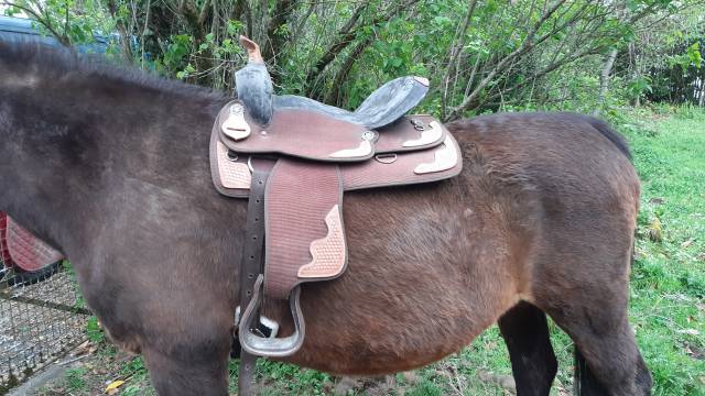 Selle western synthétique 