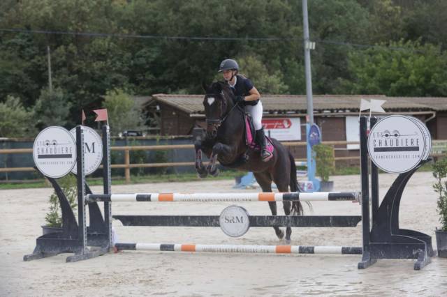 Hongre 13 ans oc polyvalent loisir et cso