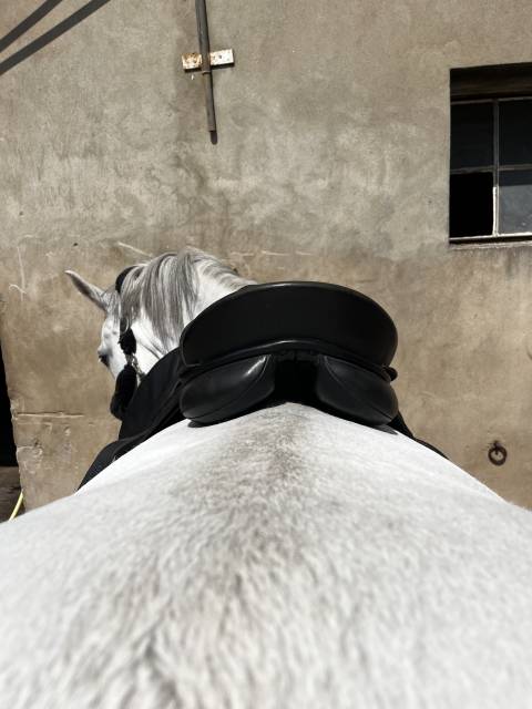 Selle dressage Kieffer
