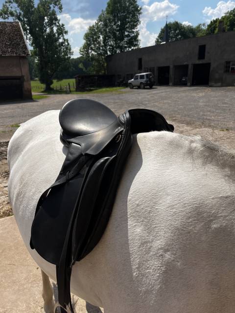 Selle dressage Kieffer