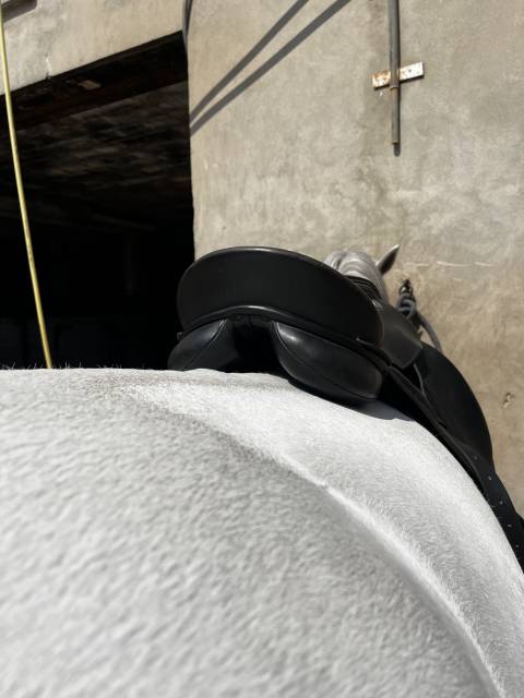 Selle dressage Kieffer