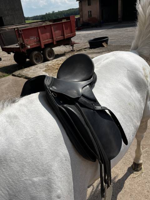 Selle dressage Kieffer