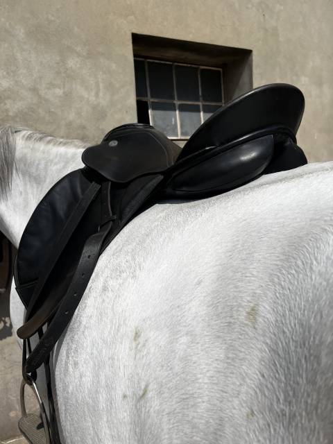 Selle dressage Kieffer