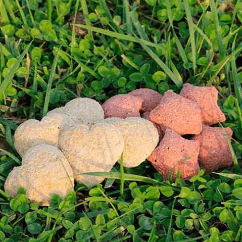 Happy Treats Duo Ravene - Friandises pour chevaux