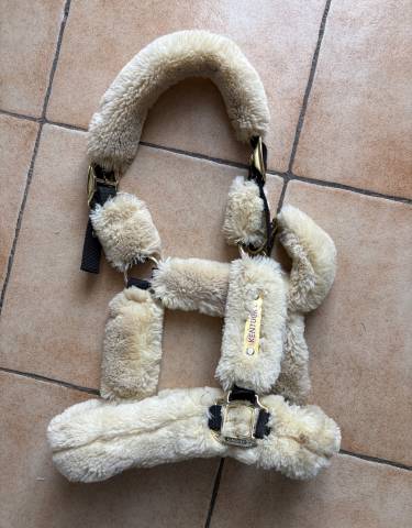 Licol KENTUCKY Total Mouton - Taille COB