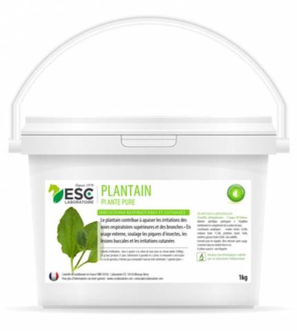 Plantain respiration et irritations cutanées - ESC LABORATOIRE
