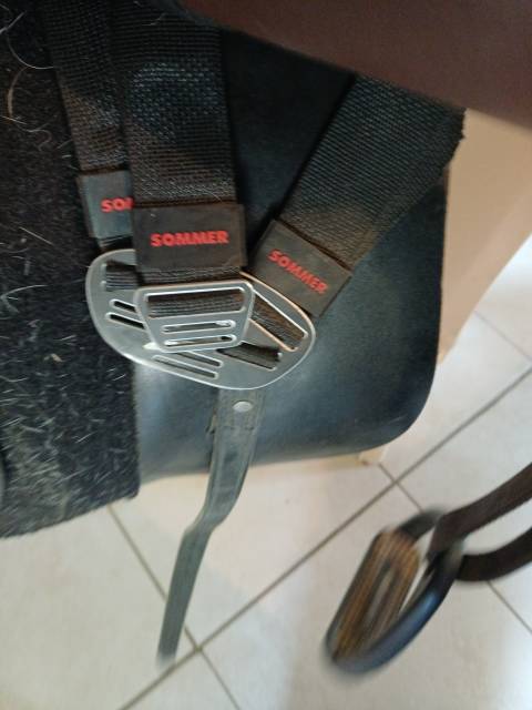 Selle sommer diplomate