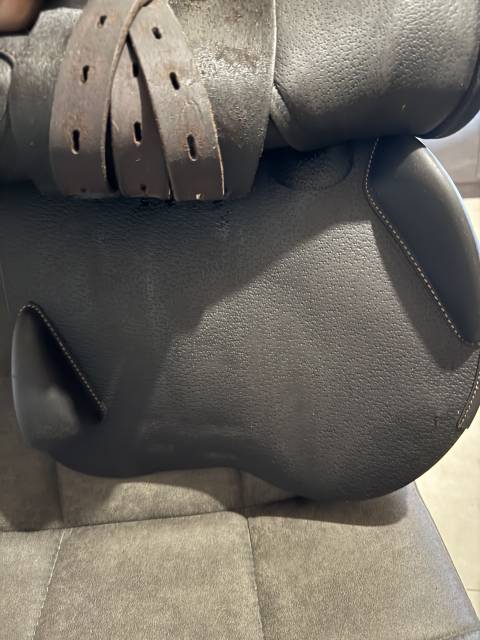 Selle Equipe EK-GO ECarbon