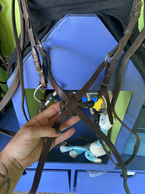 Bridon muserolle croisée 