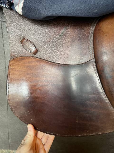 Selle mixte Saumur, Eric Thomas, 16,5