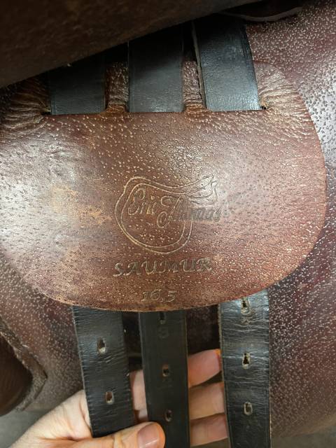Selle mixte Saumur, Eric Thomas, 16,5