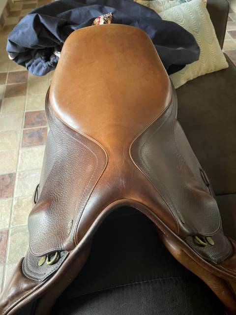 Selle mixte Saumur, Eric Thomas, 16,5