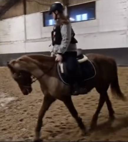 Urgent - recherche apprentissage pour septembre 2025