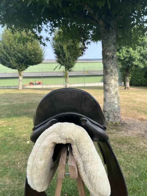selle dressage belloir saumur 17 noire 