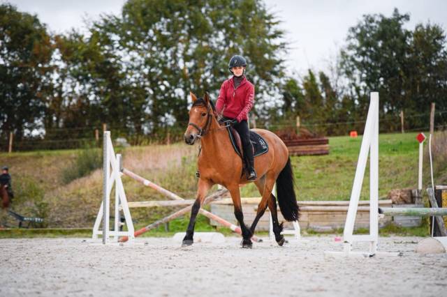 Jolie jument 3 ans pour se faire plaisir